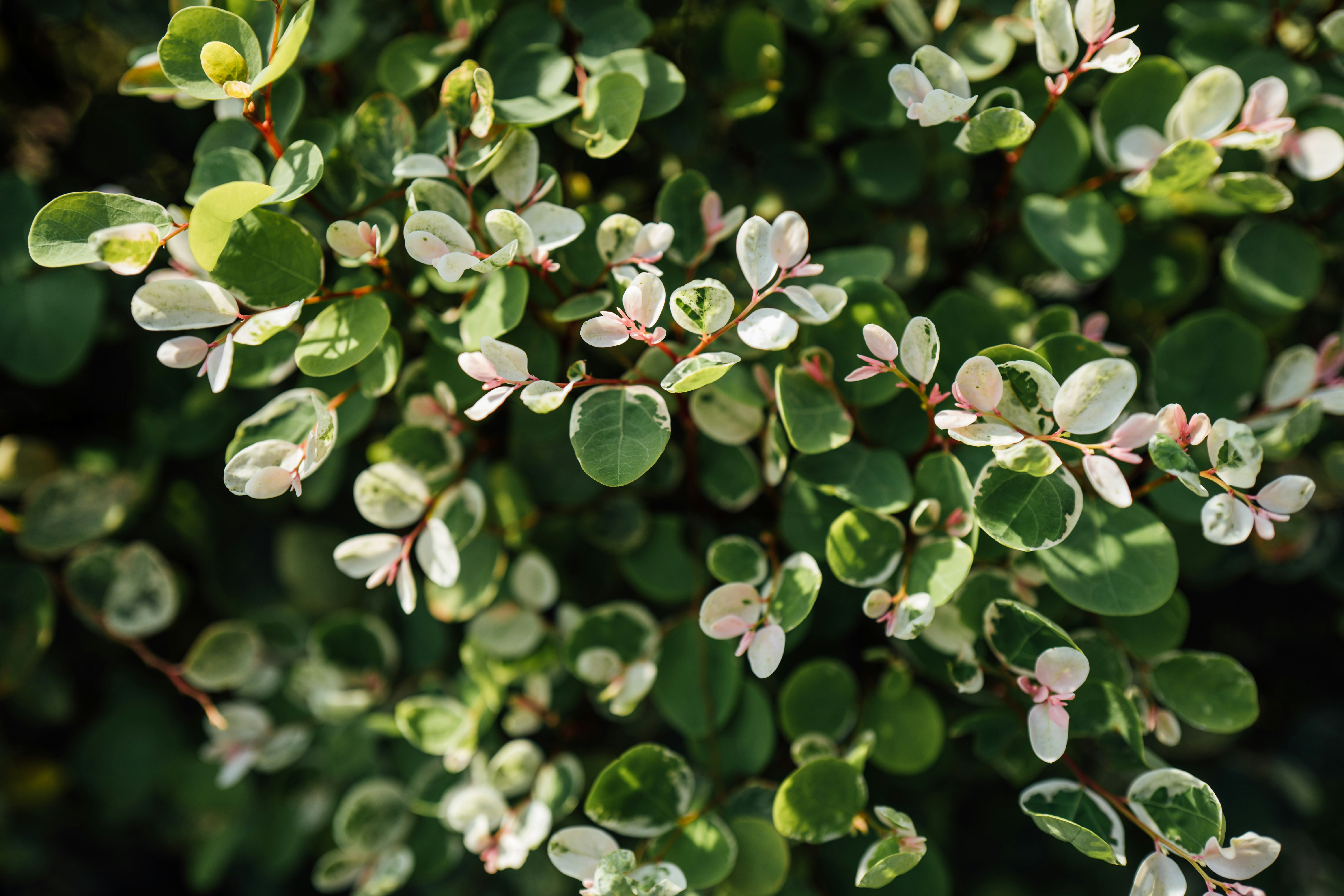 Photo by chuttersnap