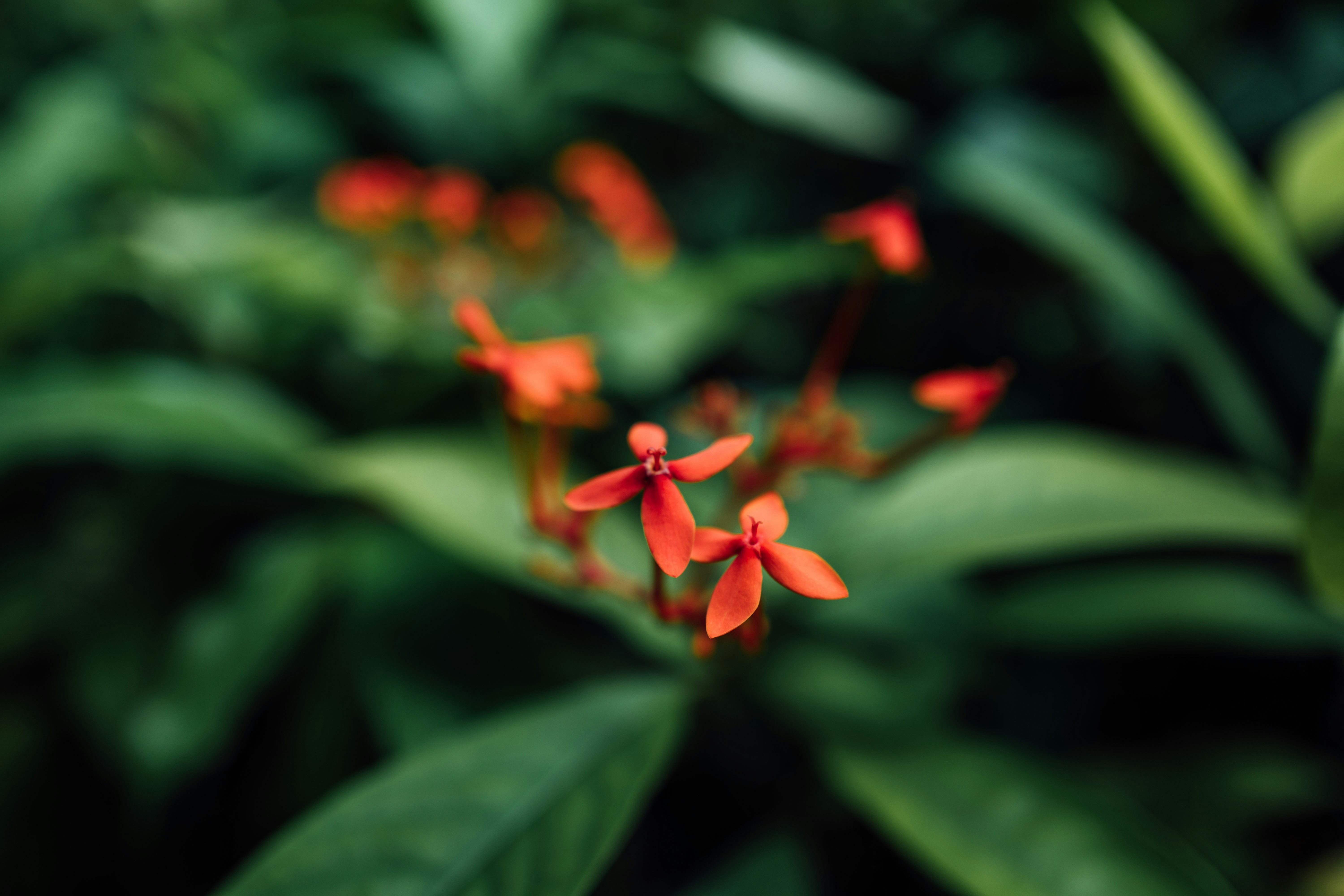 Photo by chuttersnap