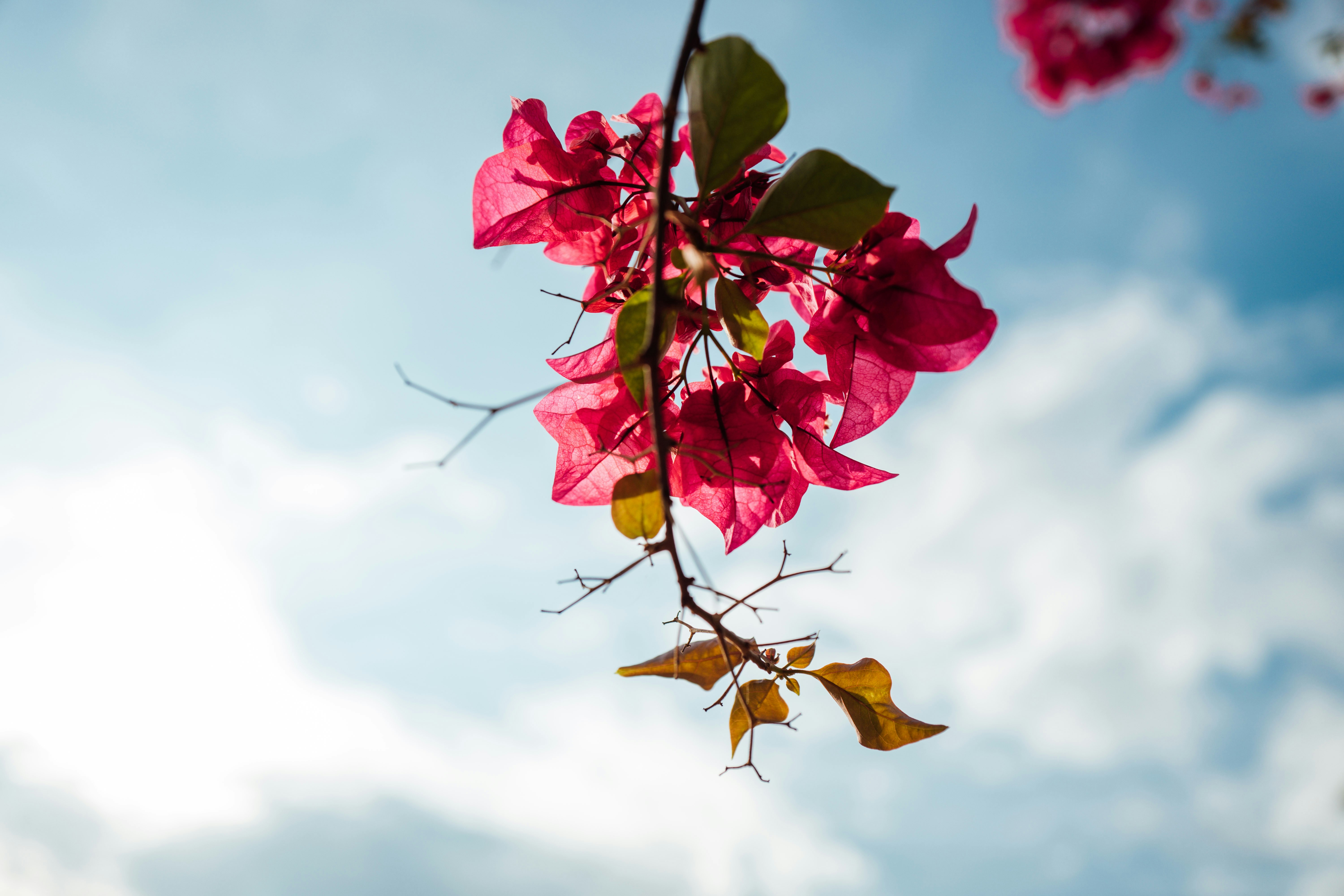 Photo by chuttersnap