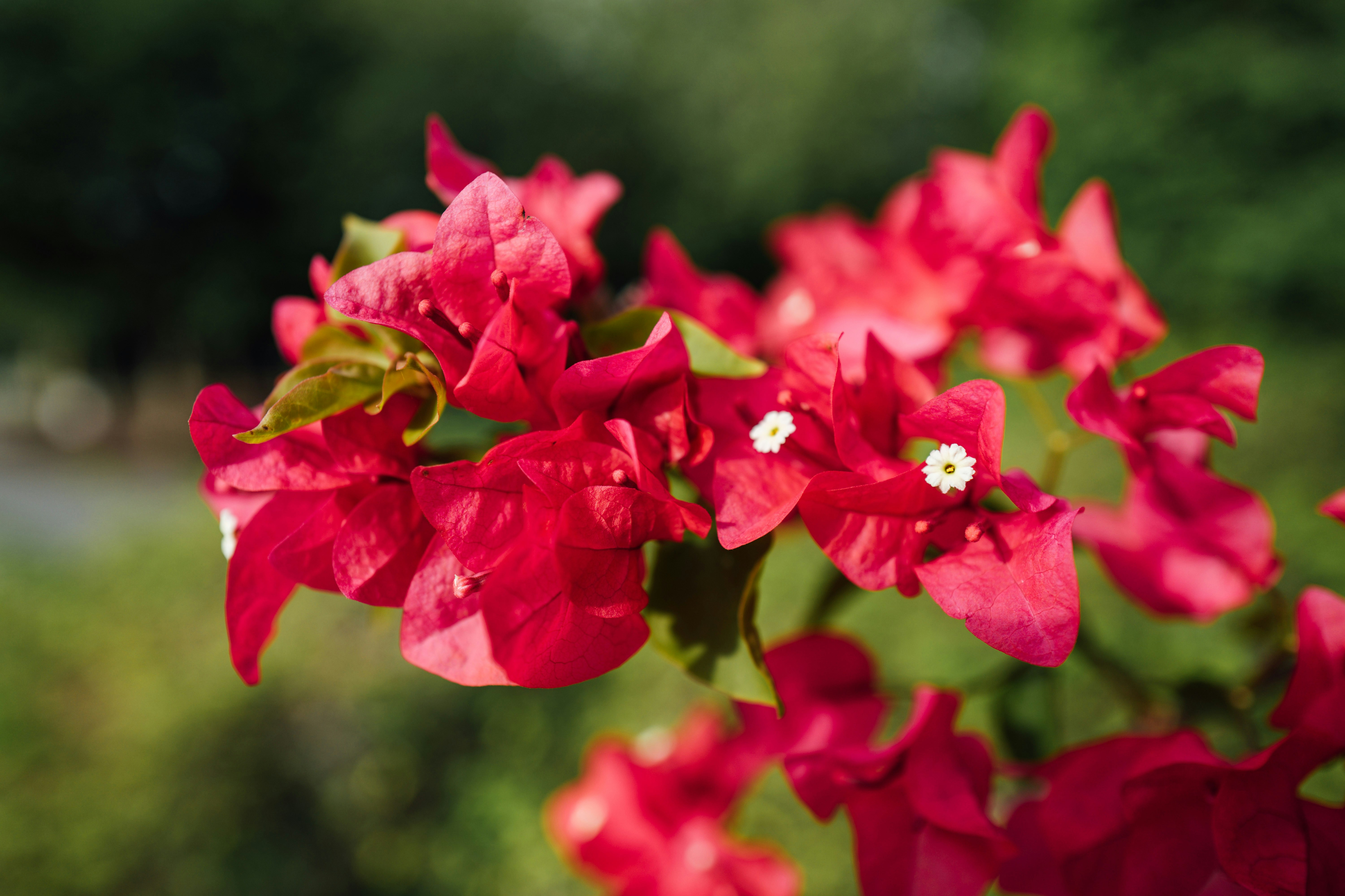 Photo by chuttersnap