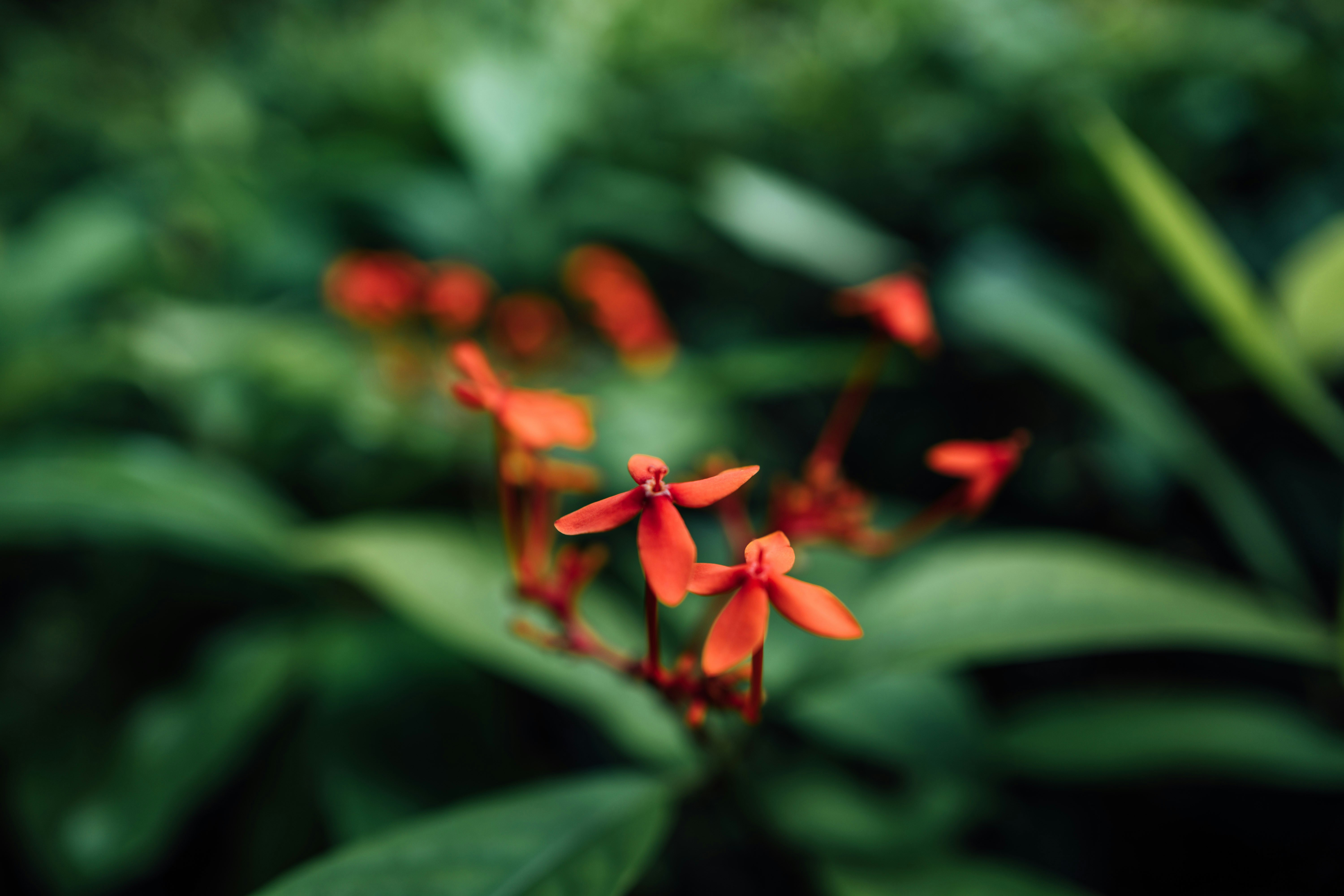 Photo by chuttersnap