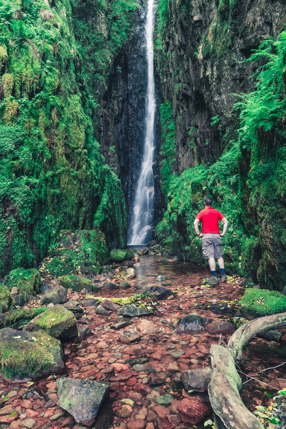 man in red jacket and black pants walking on rocky pathway in between green trees during
