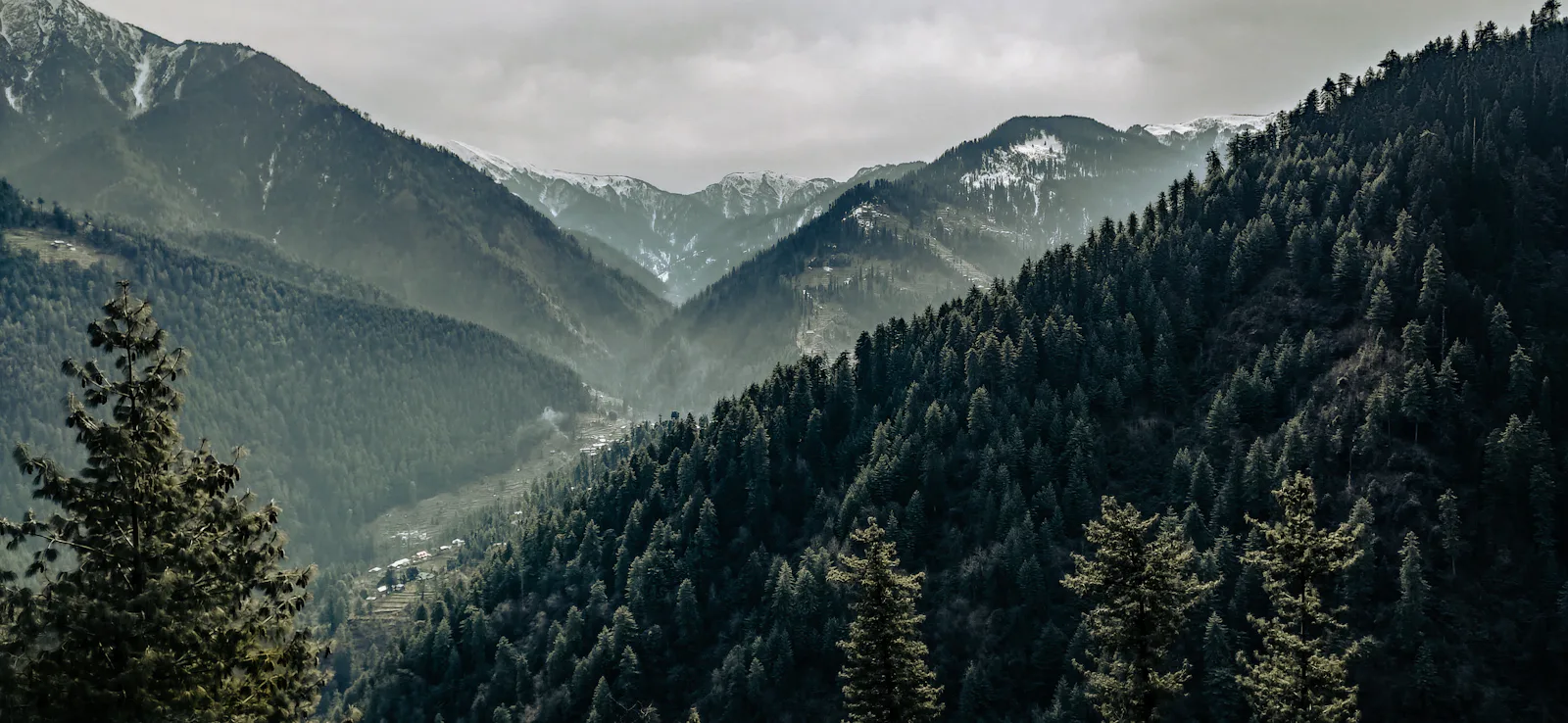 The hills of Jibhi in Himachal Pradesh