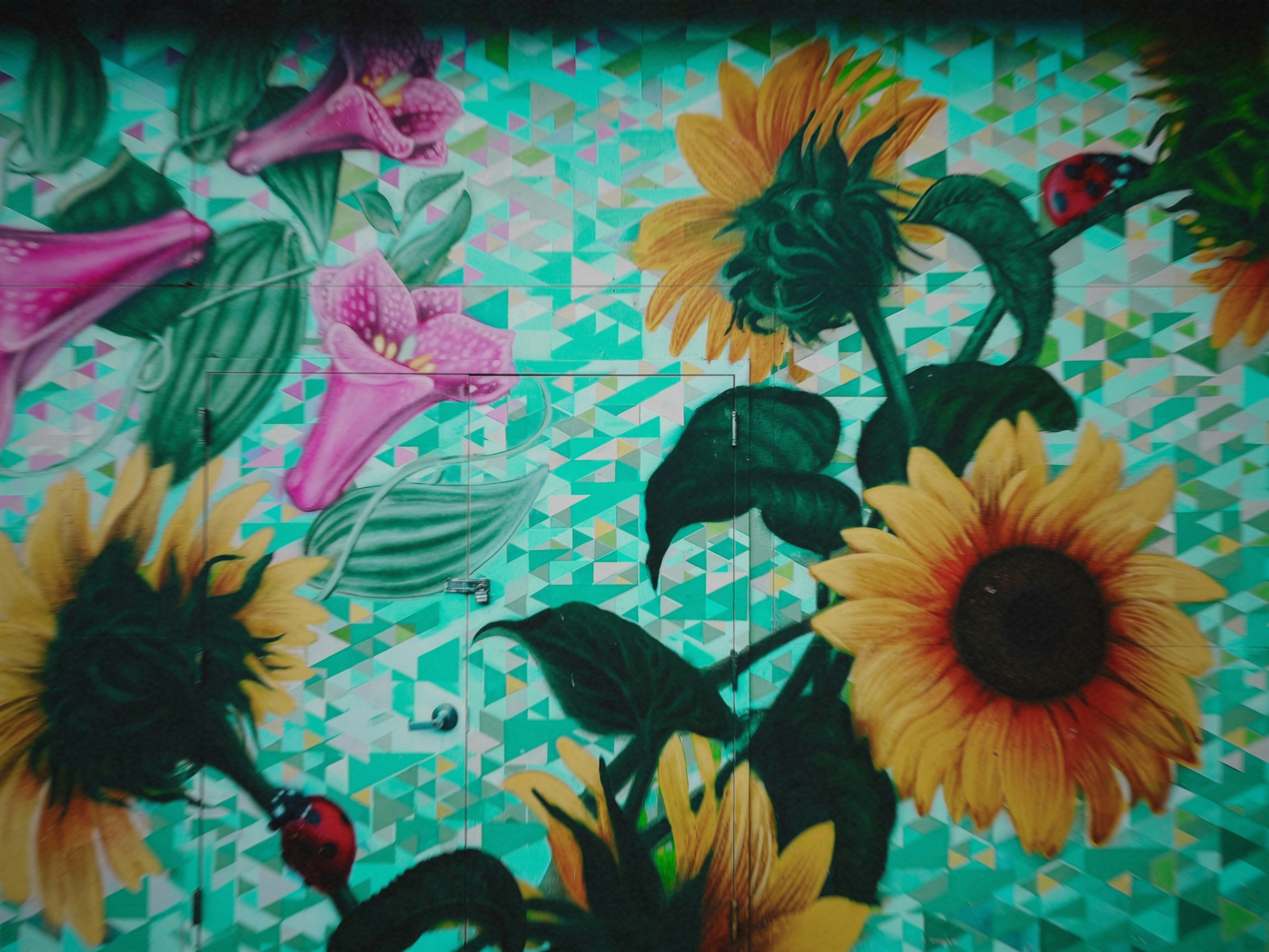 黄色いひまわりとピンクの花の絵の写真 Unsplashで見つける工場の無料写真