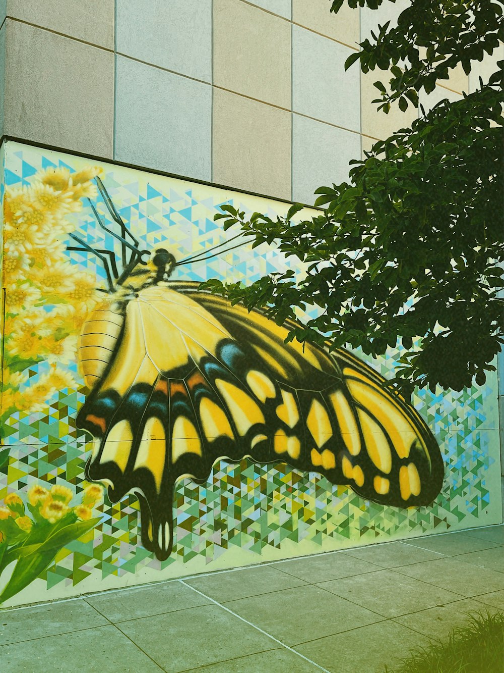 yellow and black butterfly on green leaves