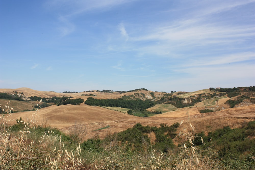 green grass field and brown mountains under blue sky during daytime