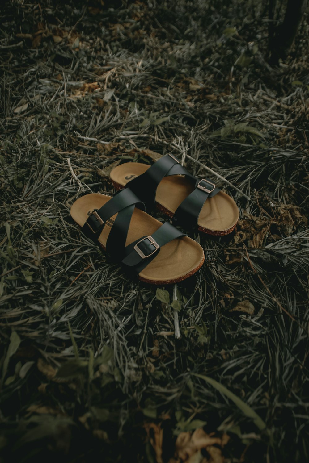brown and black leather sandals on brown dried leaves
