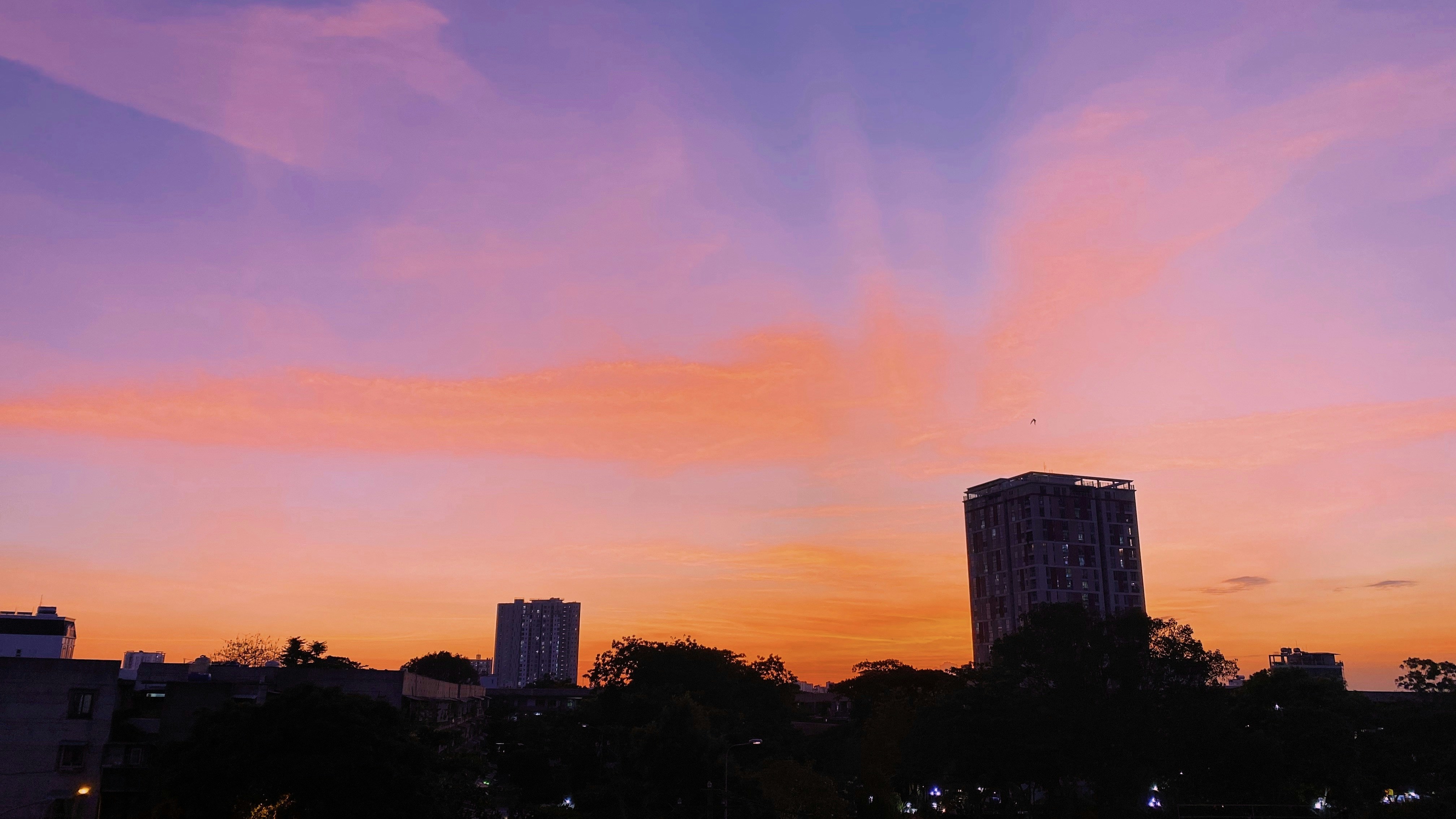 silhouette of trees and buildings during sunset
