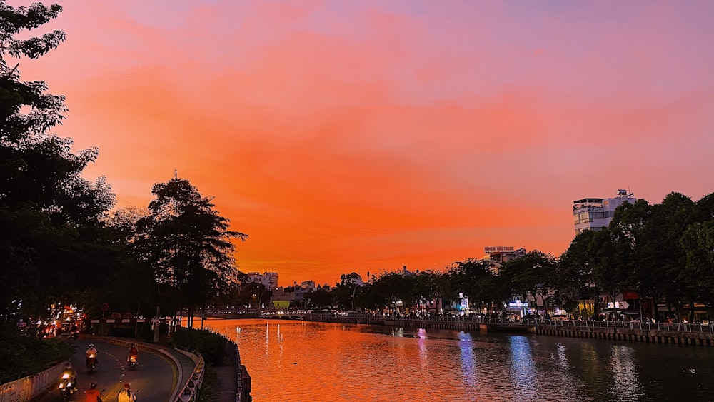 silhouette of trees near body of water during sunset