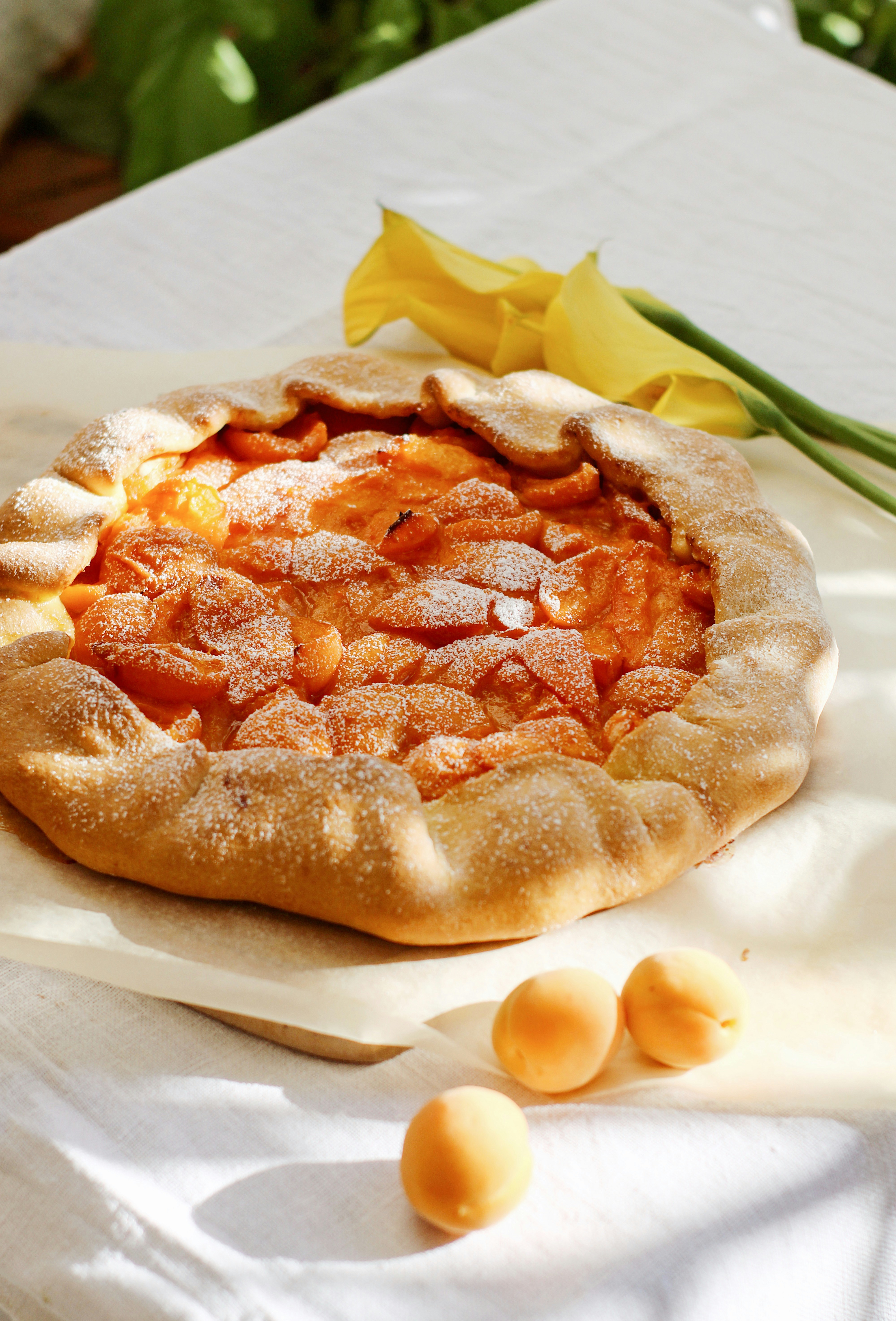 The Real Reasons Diagnostic Tests Have False Positive and Negative Results