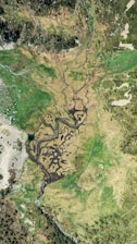 An aerial view of a landscape featuring a network of small streams or channels winding through lush, green fields. The streams create intricate patterns on the land, and there are patches of rocky terrain and vegetation throughout the scene.