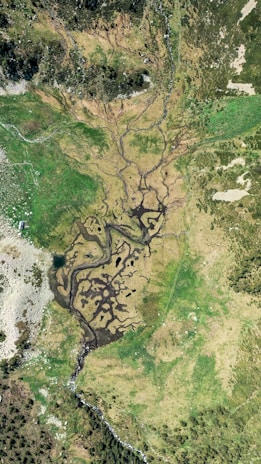 An aerial view of a landscape featuring a network of small streams or channels winding through lush, green fields. The streams create intricate patterns on the land, and there are patches of rocky terrain and vegetation throughout the scene.