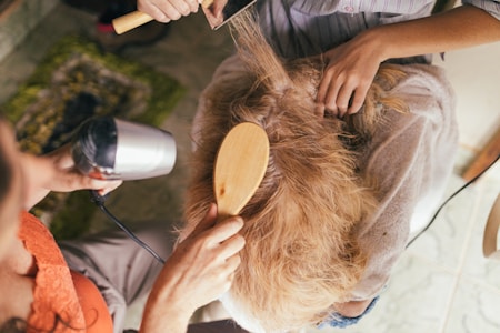 A person is having their hair styled. Another person uses a round brush and a hairdryer on the blonde hair while wearing an orange top. The person receiving the styling is sitting on a chair, covered with a towel.