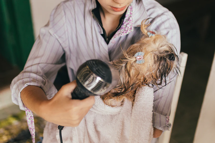 Sarah, Pawsh's lead groomer, drying a small dog after a wash