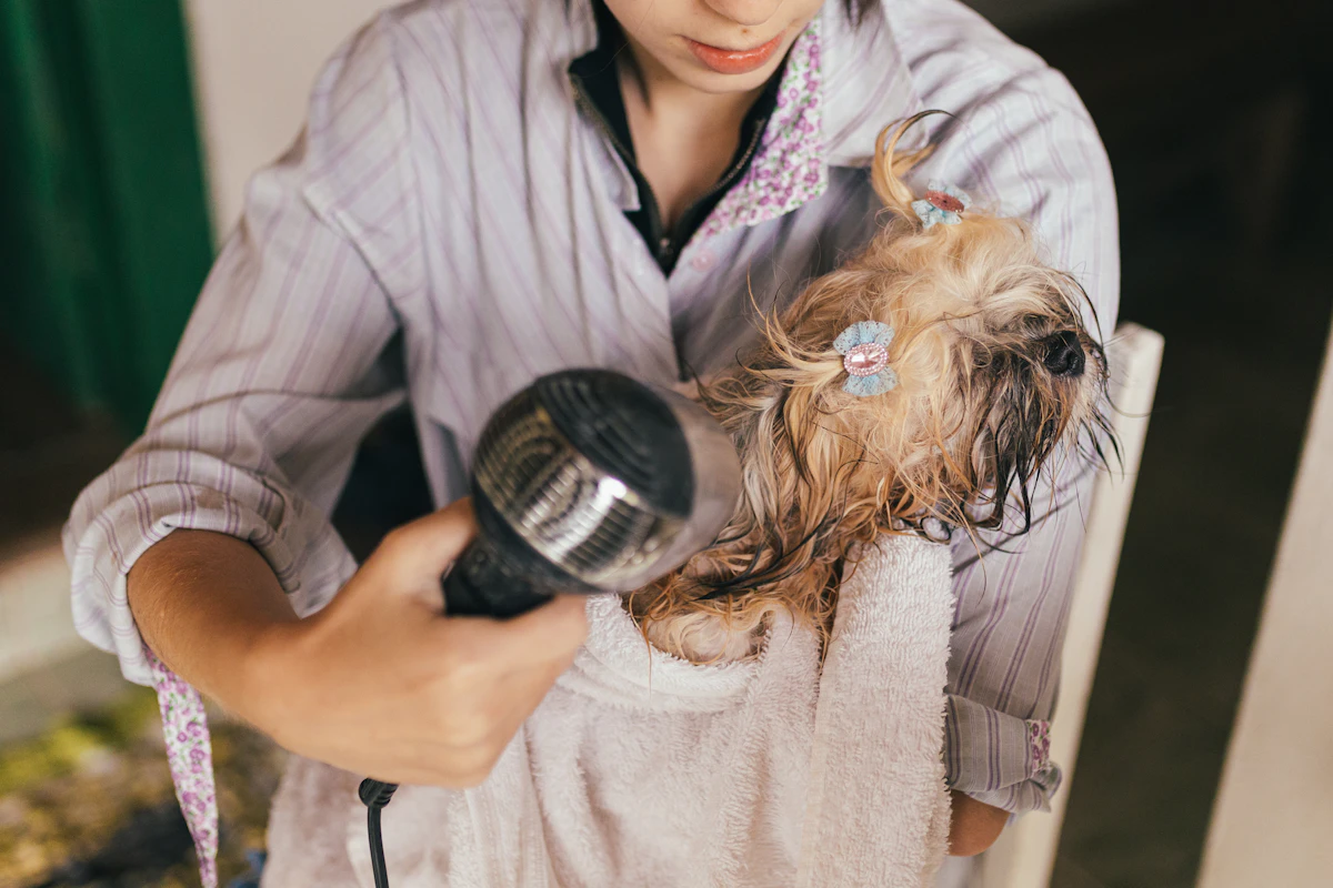 A person holding a small towel-wrapped dog in the crook of one arm while drying it