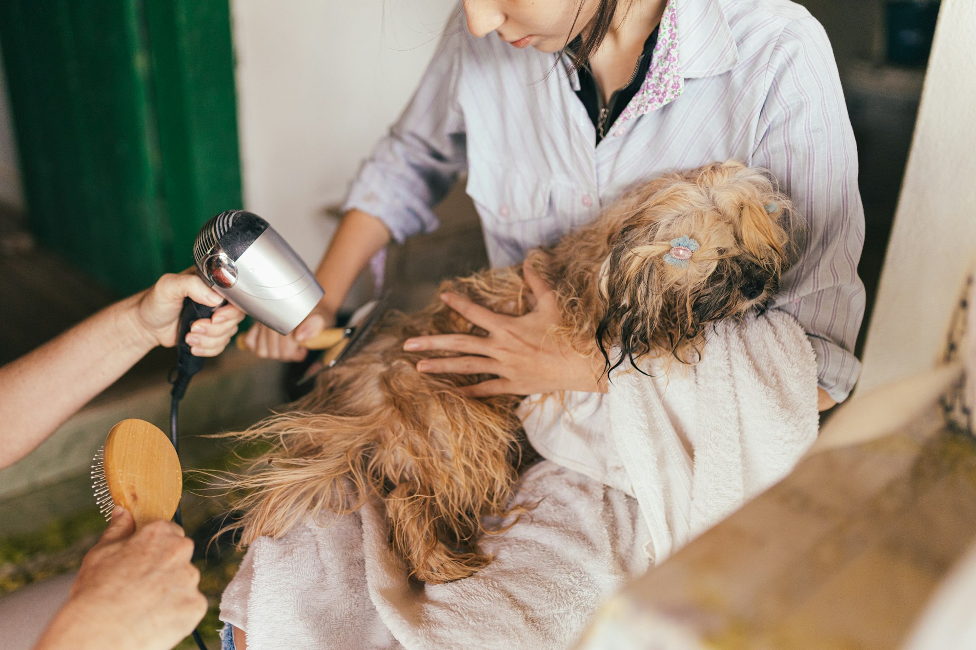 dog hair loss home remedies