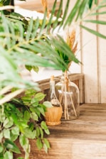 A rustic wooden surface holds two decorative glass bottles, one of which is partially wrapped in wicker. Greenery, including large leaves, frames the scene, creating a fresh and natural atmosphere. Natural light softly illuminates the arrangement.