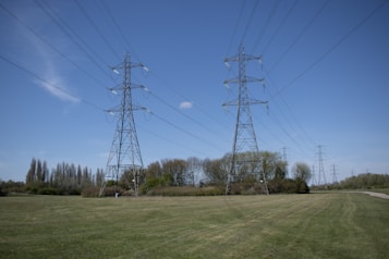 A landscape featuring several large electricity pylons standing in a grassy field. Trees line the background beneath a clear blue sky. The pylons carry power lines stretching off into the distance.