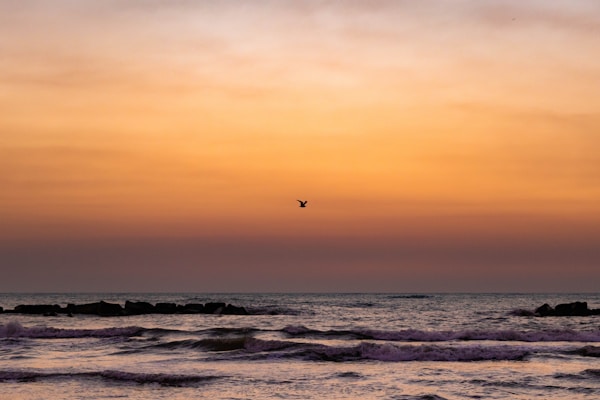 What to See in San Benedetto del Tronto: A Practical Travel Guide