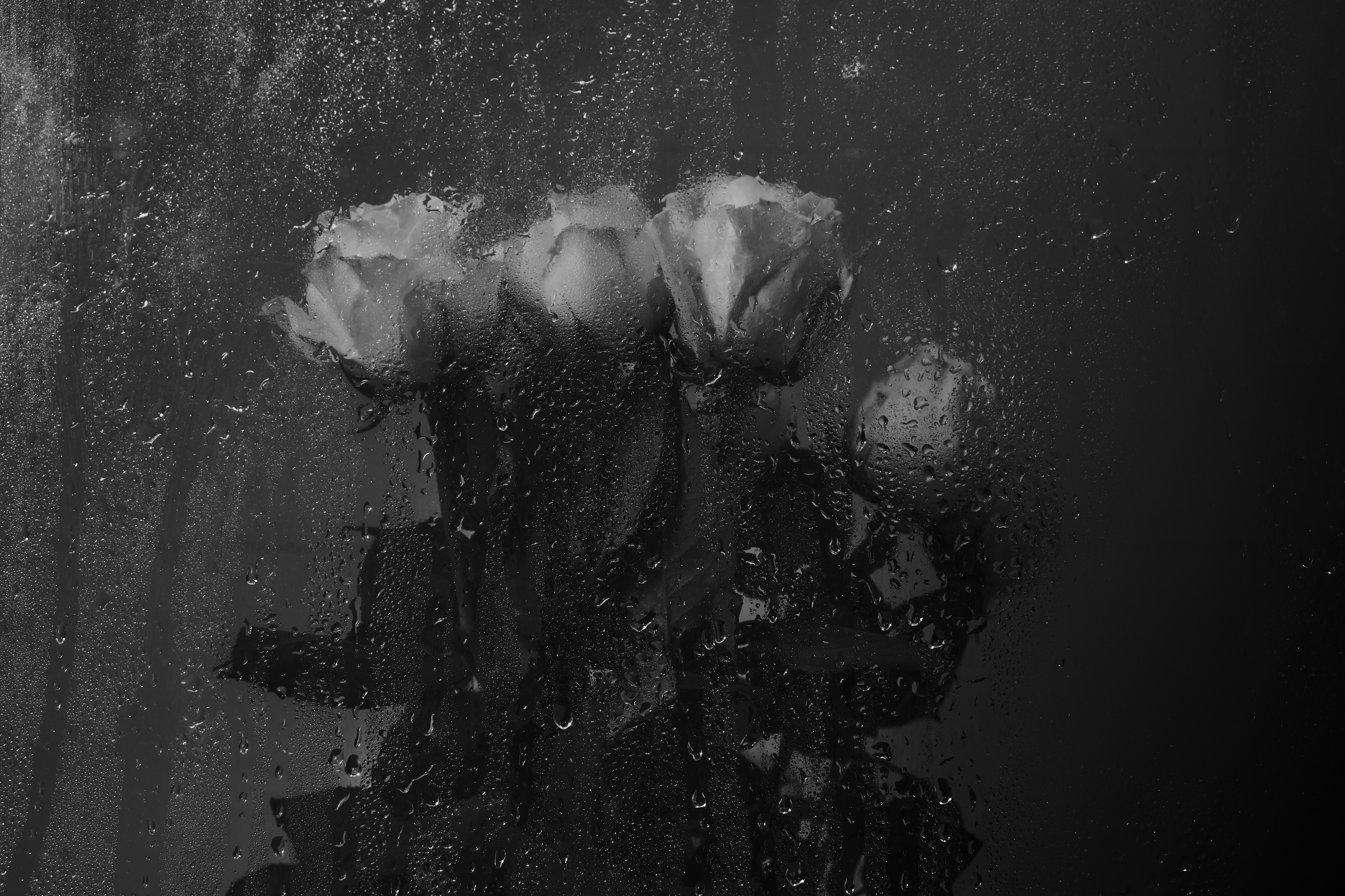 white and green abstract painting