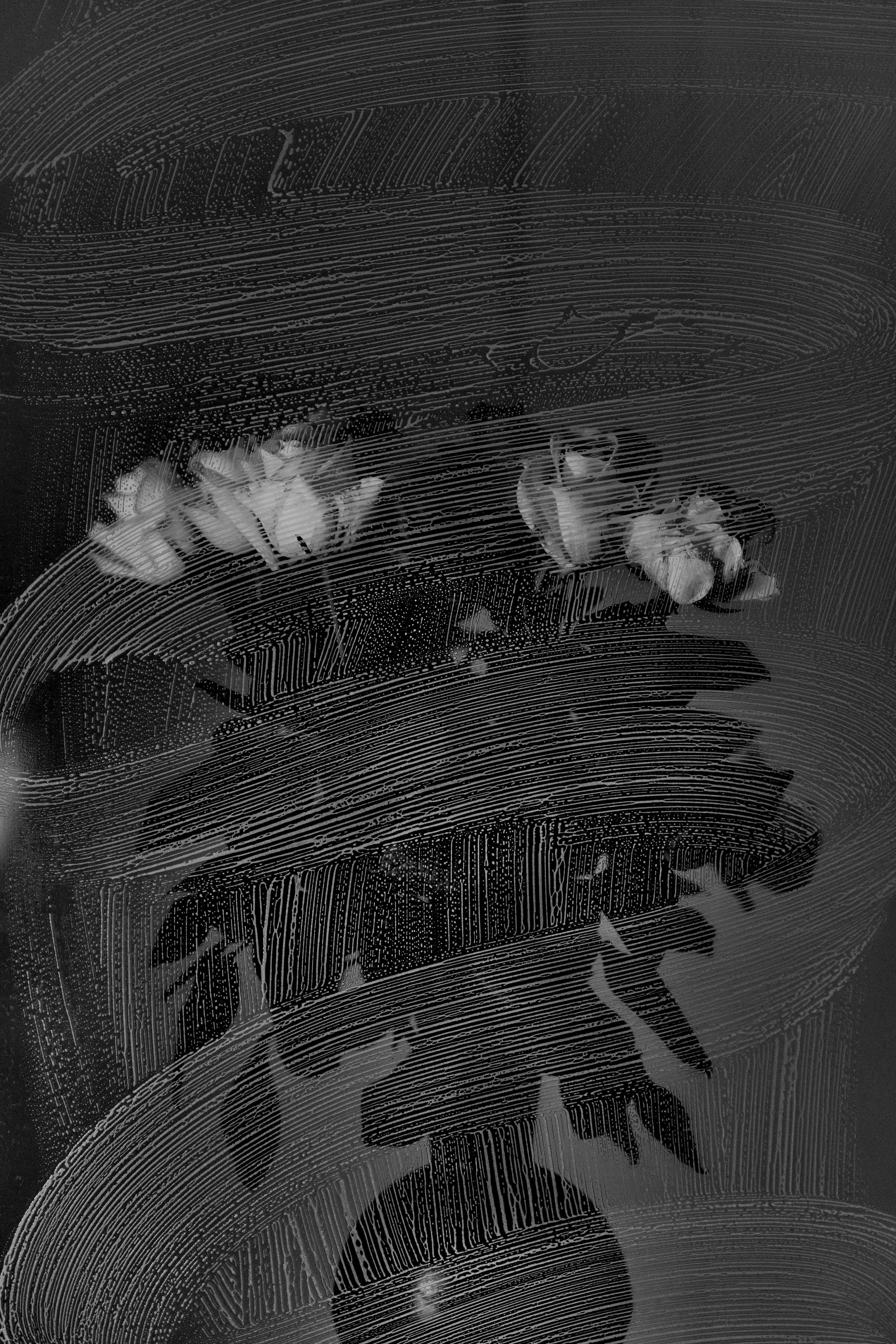 Photo by kevinmueller