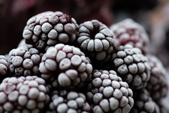 Close-up view of frozen blackberries, with a layer of frost covering each berry, creating a textured appearance. The individual drupelets are clearly visible, giving a detailed and crystalline look to the whole cluster.
