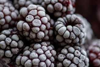 Cold blackberry fruits