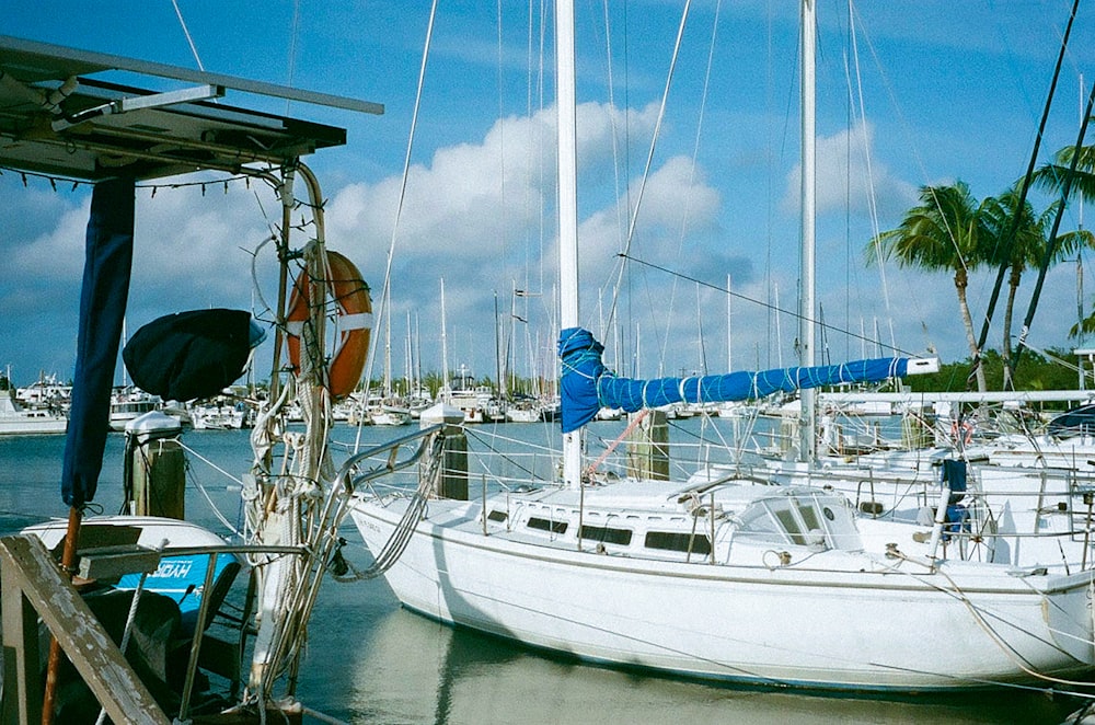 white and brown boat on sea during daytime