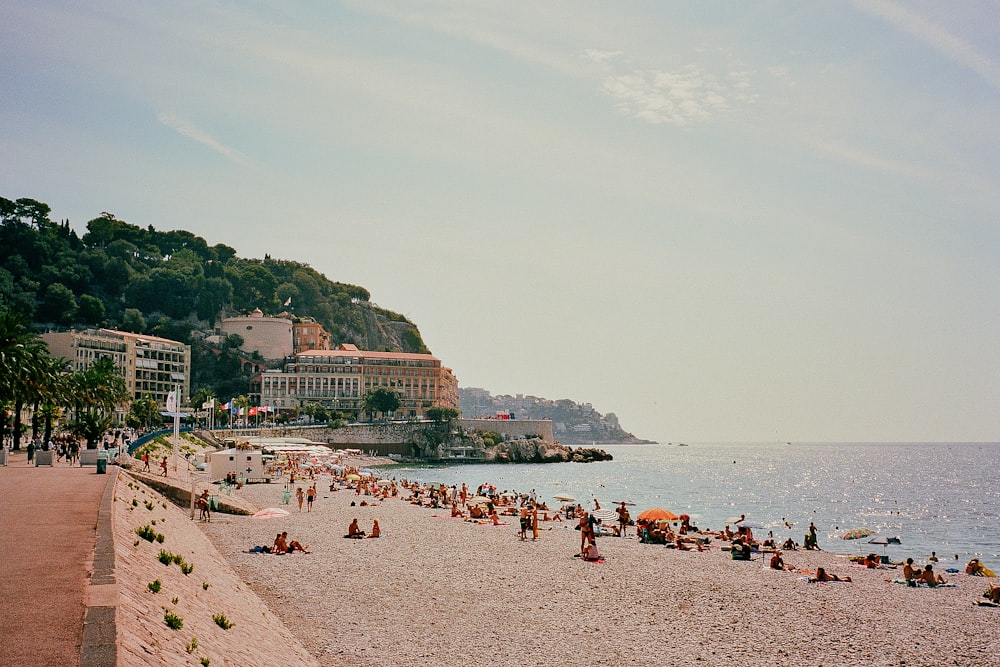 people on beach during daytime