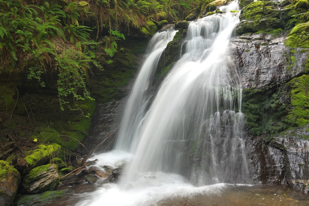 water falls in the middle of the forest