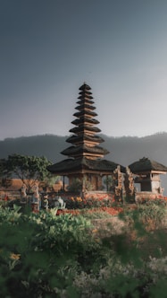 brown and black pagoda surrounded by green plants