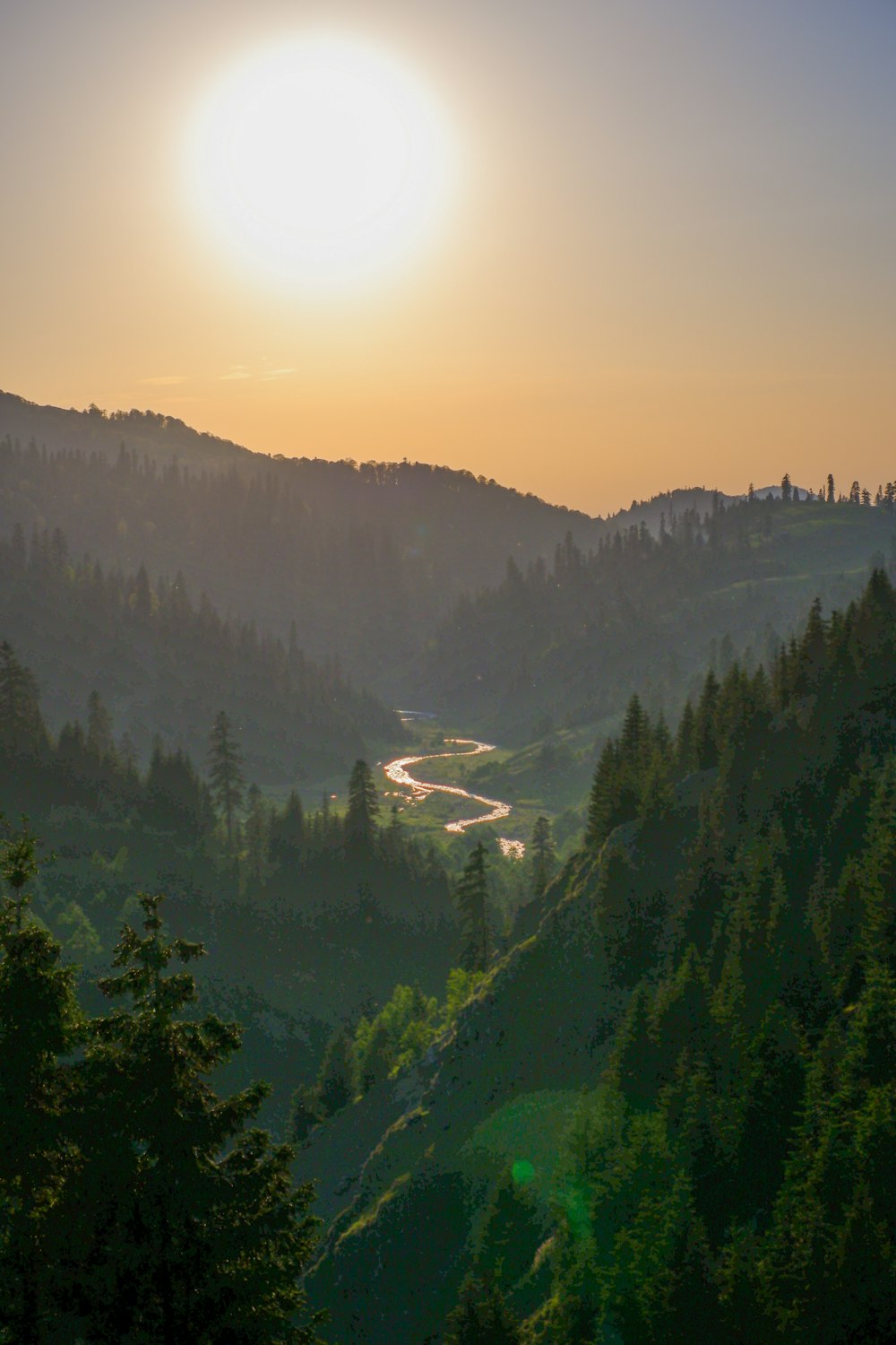 green trees on mountain during daytime