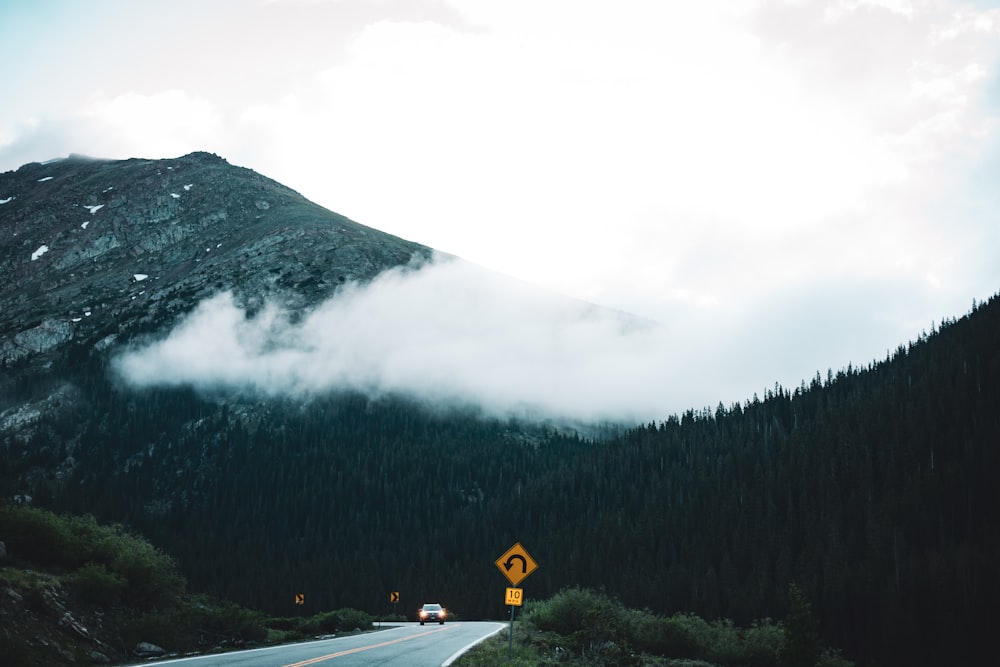 green trees near mountain during daytime