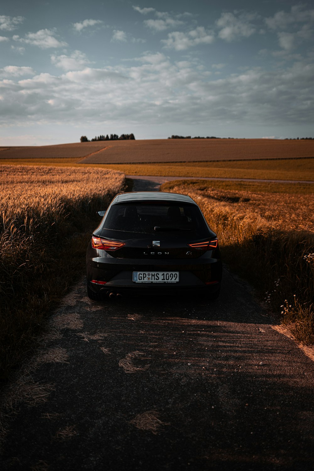 black bmw car on brown field during daytime