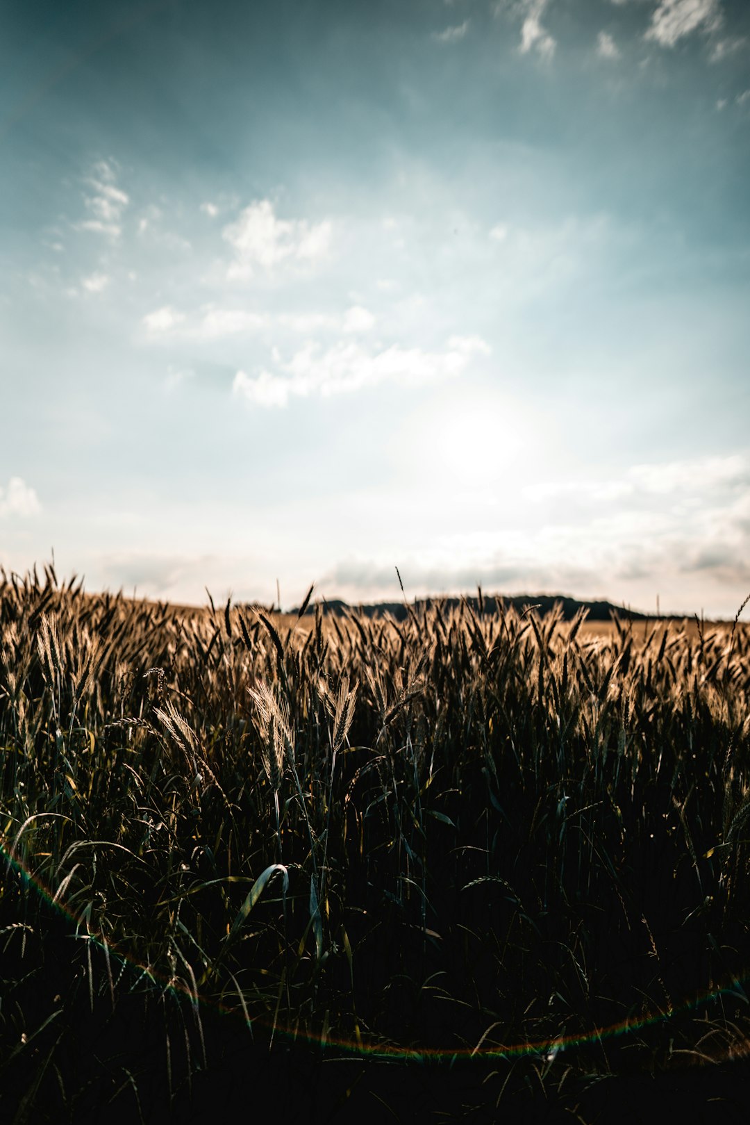 brown grass field under cloudy sky during daytime