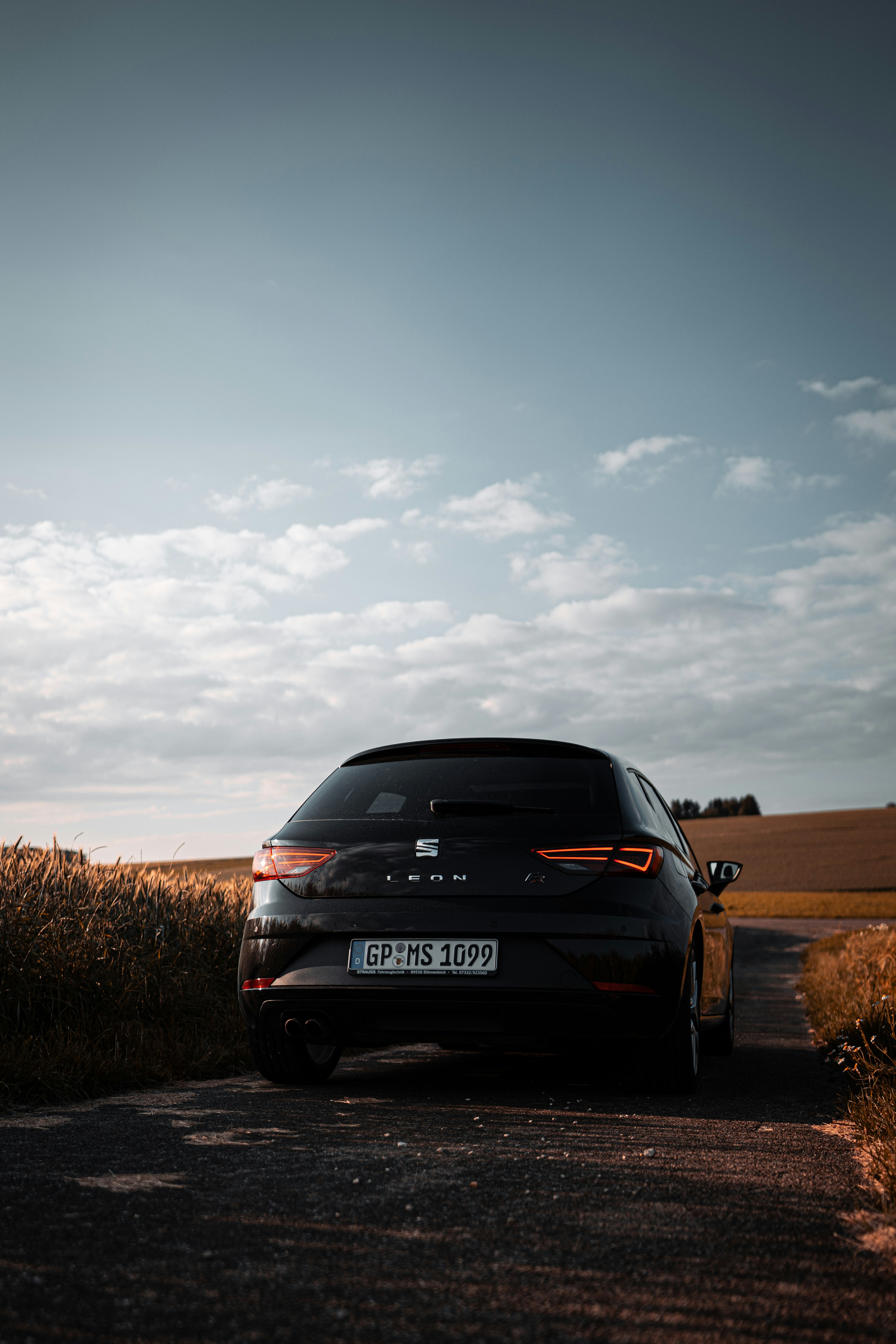 black honda car on brown field under gray cloudy sky during daytime