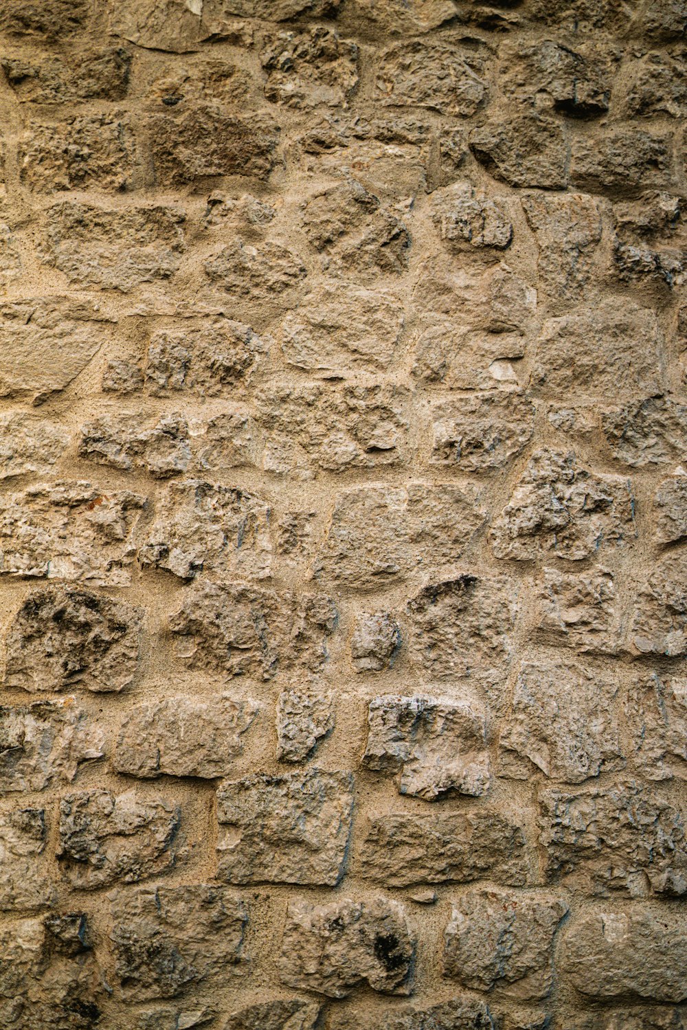 갈색과 회색 콘크리트 벽