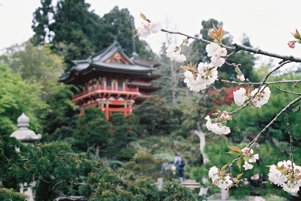 people walking on pathway near red and brown temple during daytime