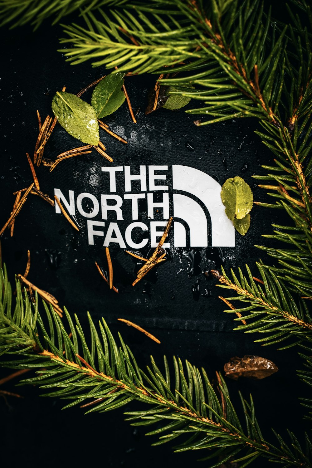 The North Face Pictures | Download Free Images on Unsplash