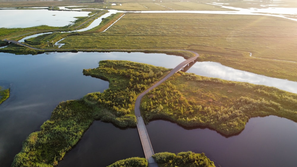 aerial view of green trees and river during daytime