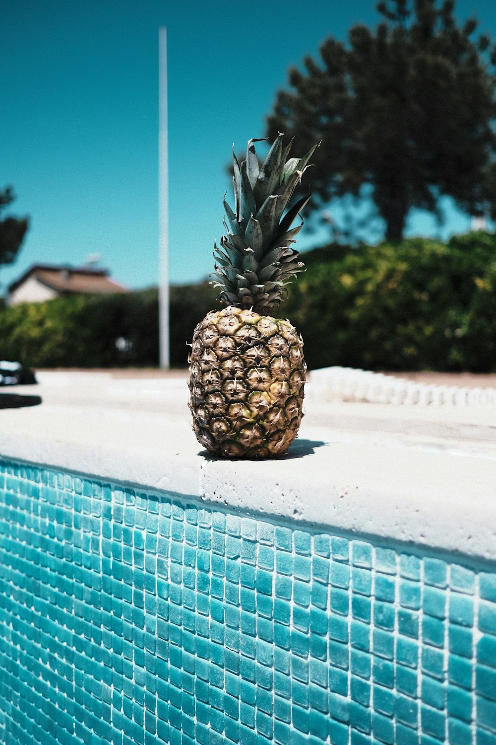 pineapple fruit on white table