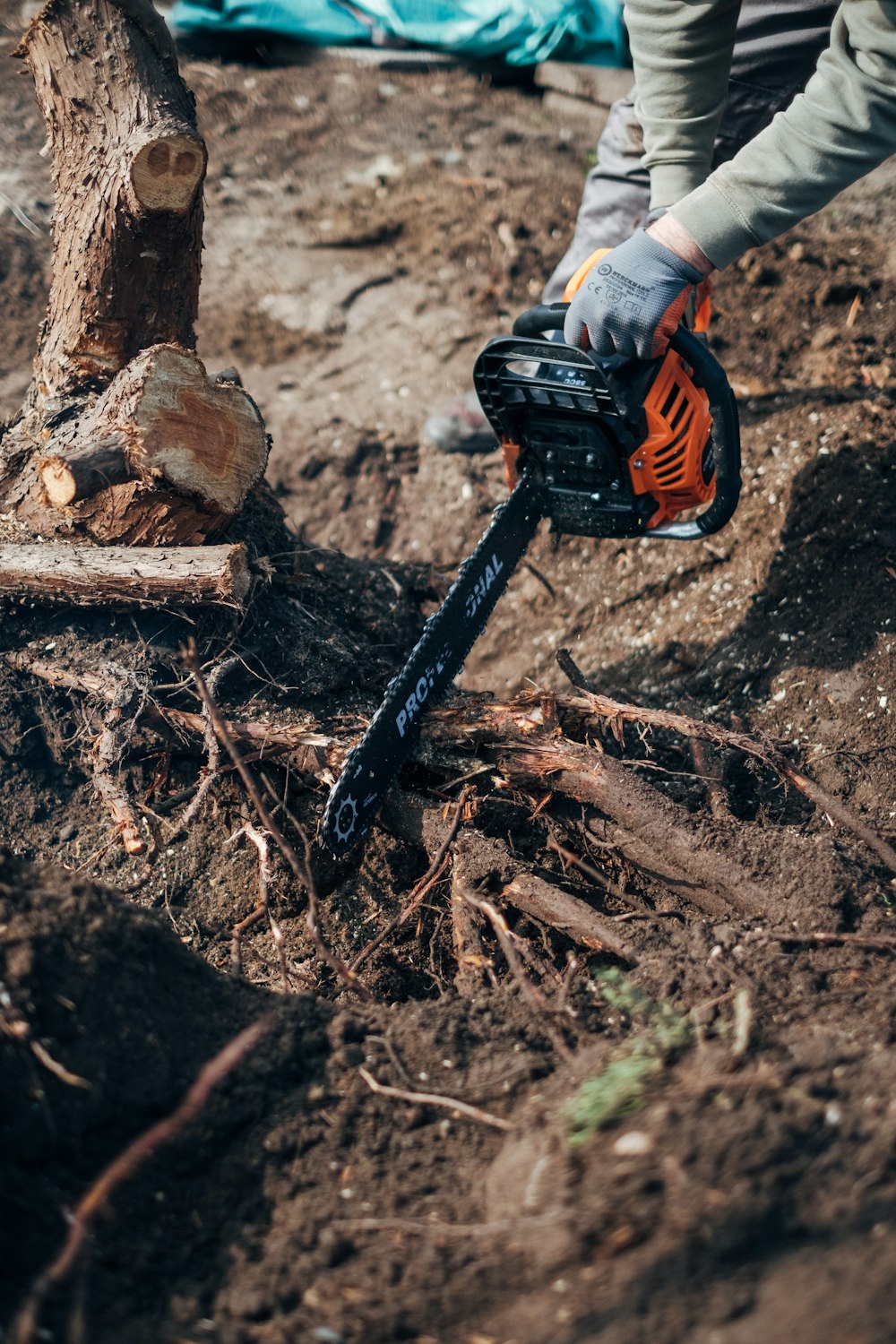 orange and black power tool on brown wood log