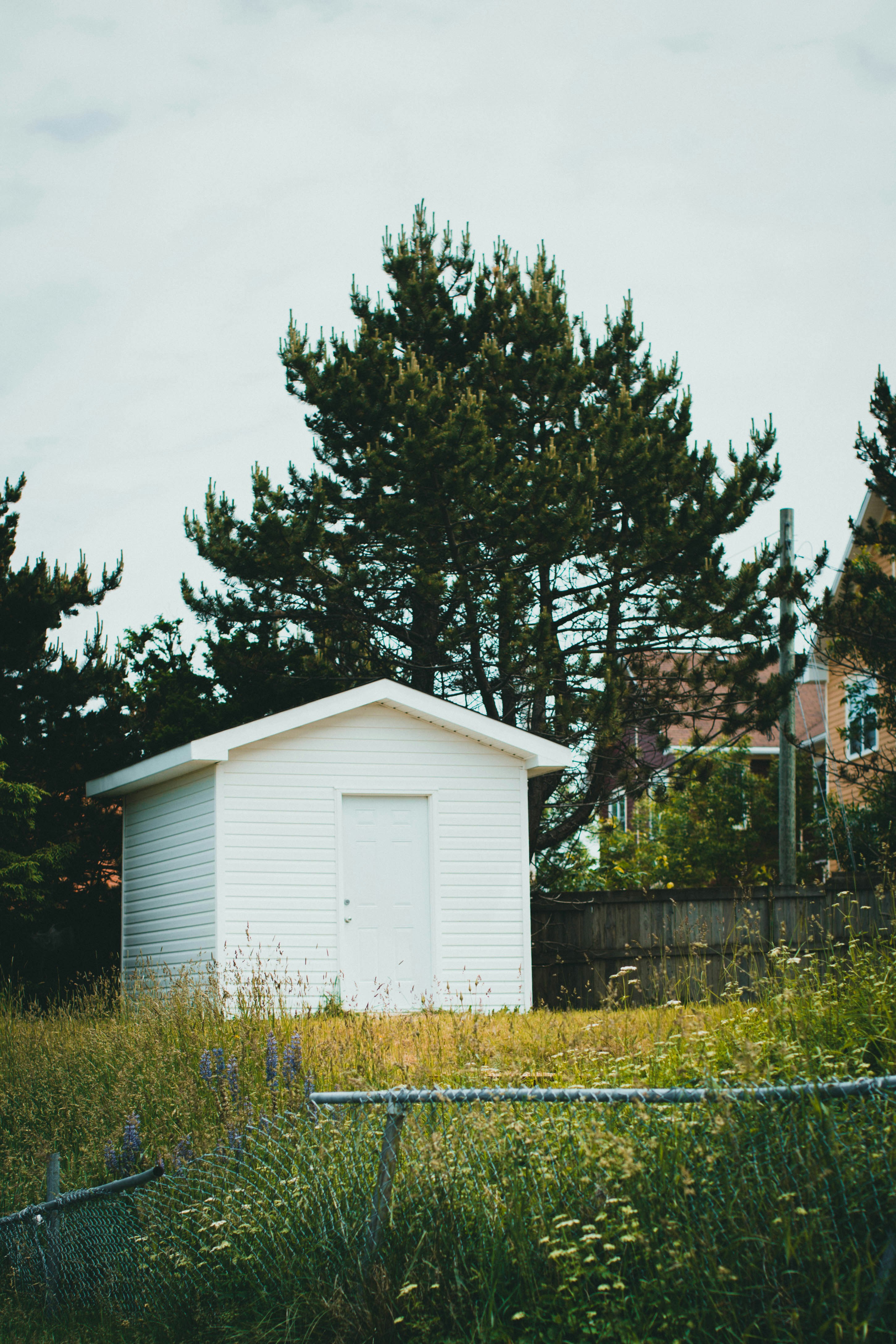 Photo by theshuttervision