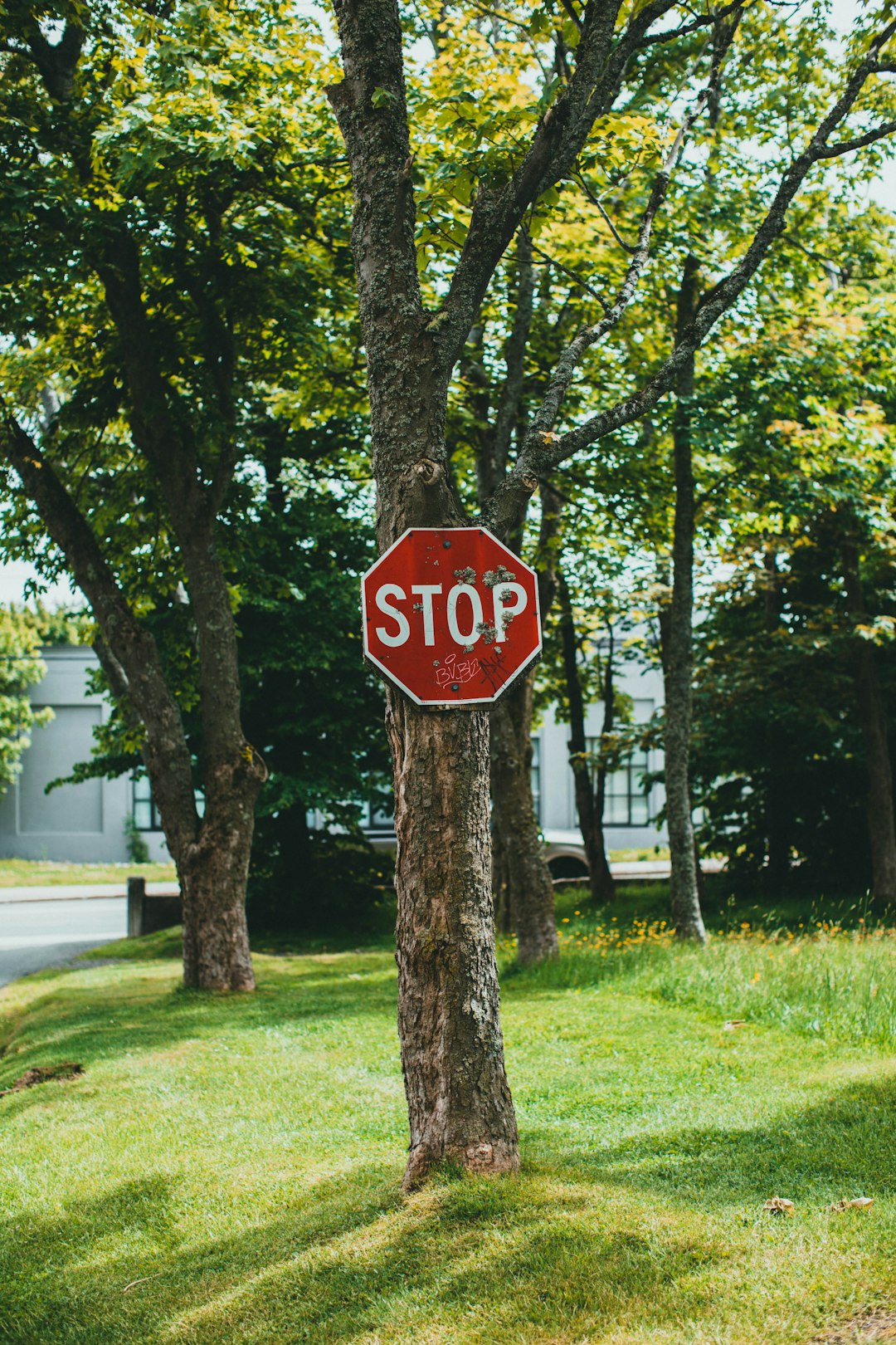 stop sign on green grass field near tree during daytime