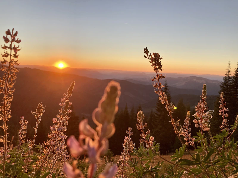 Siskiyou Out Back Trail Runs