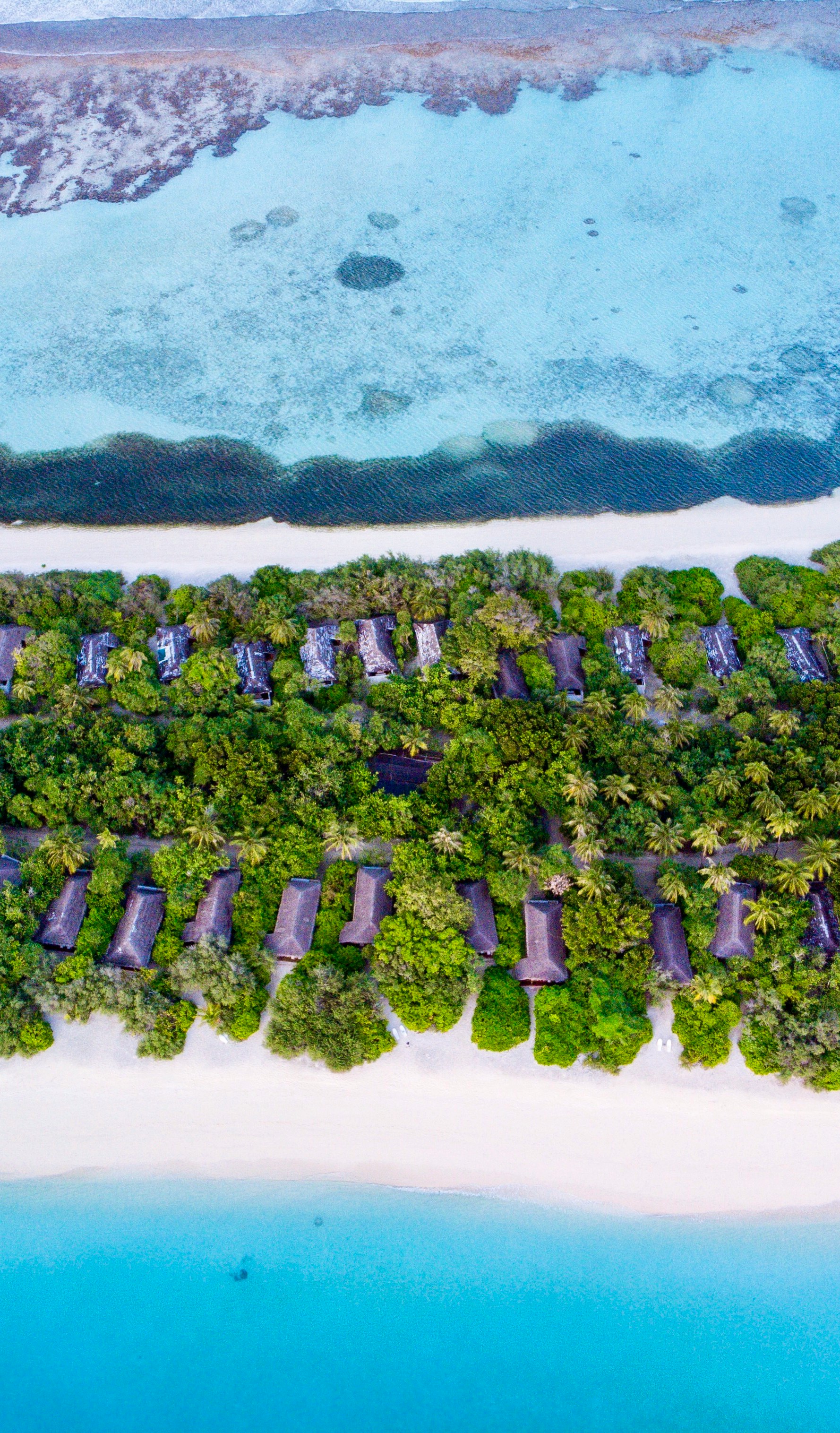 aerial view of green trees and white sand beach