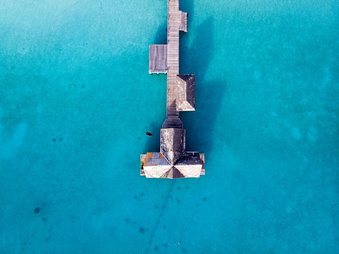 aerial view of brown wooden dock,