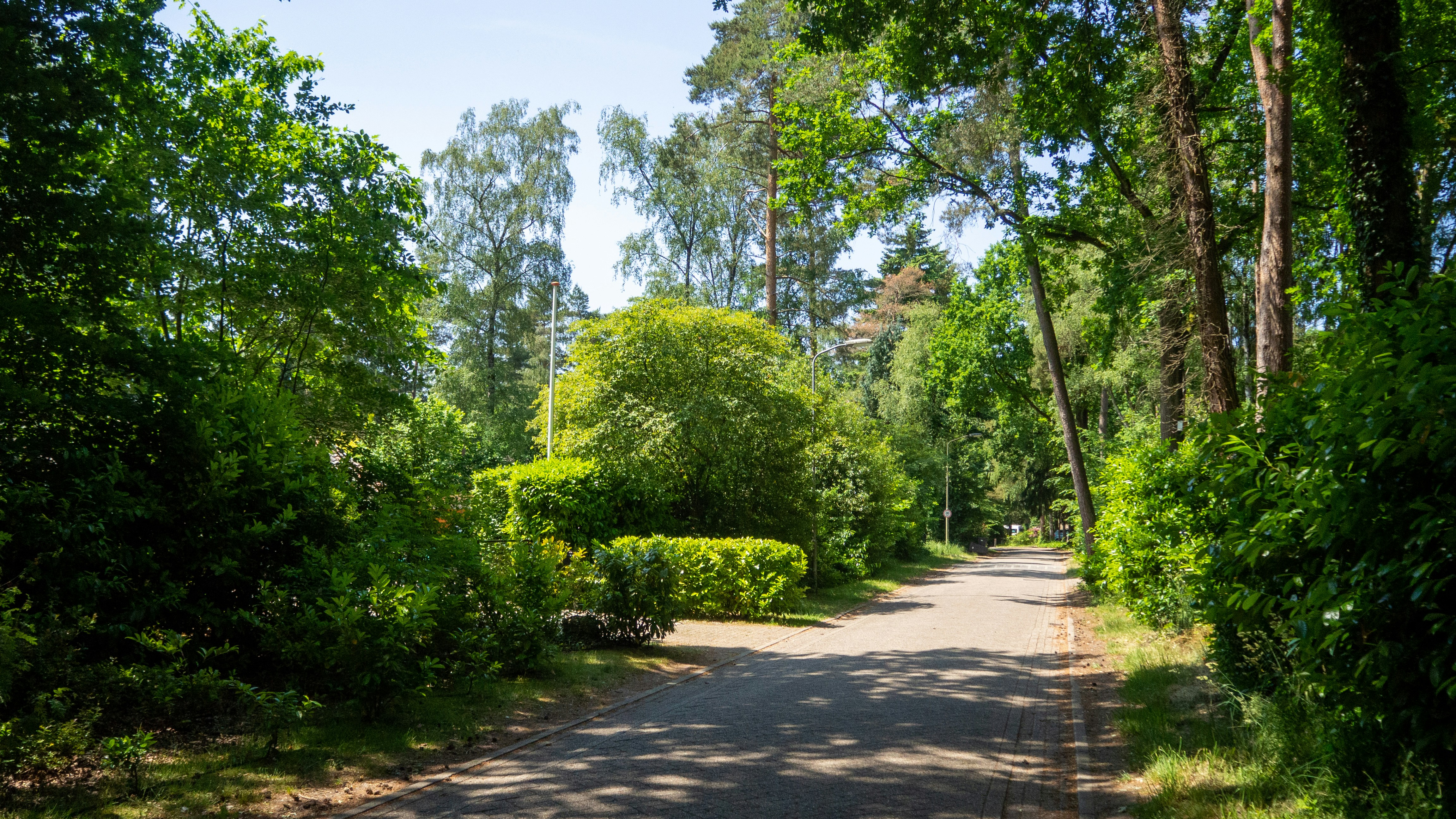 Kirstenbosch Gardens