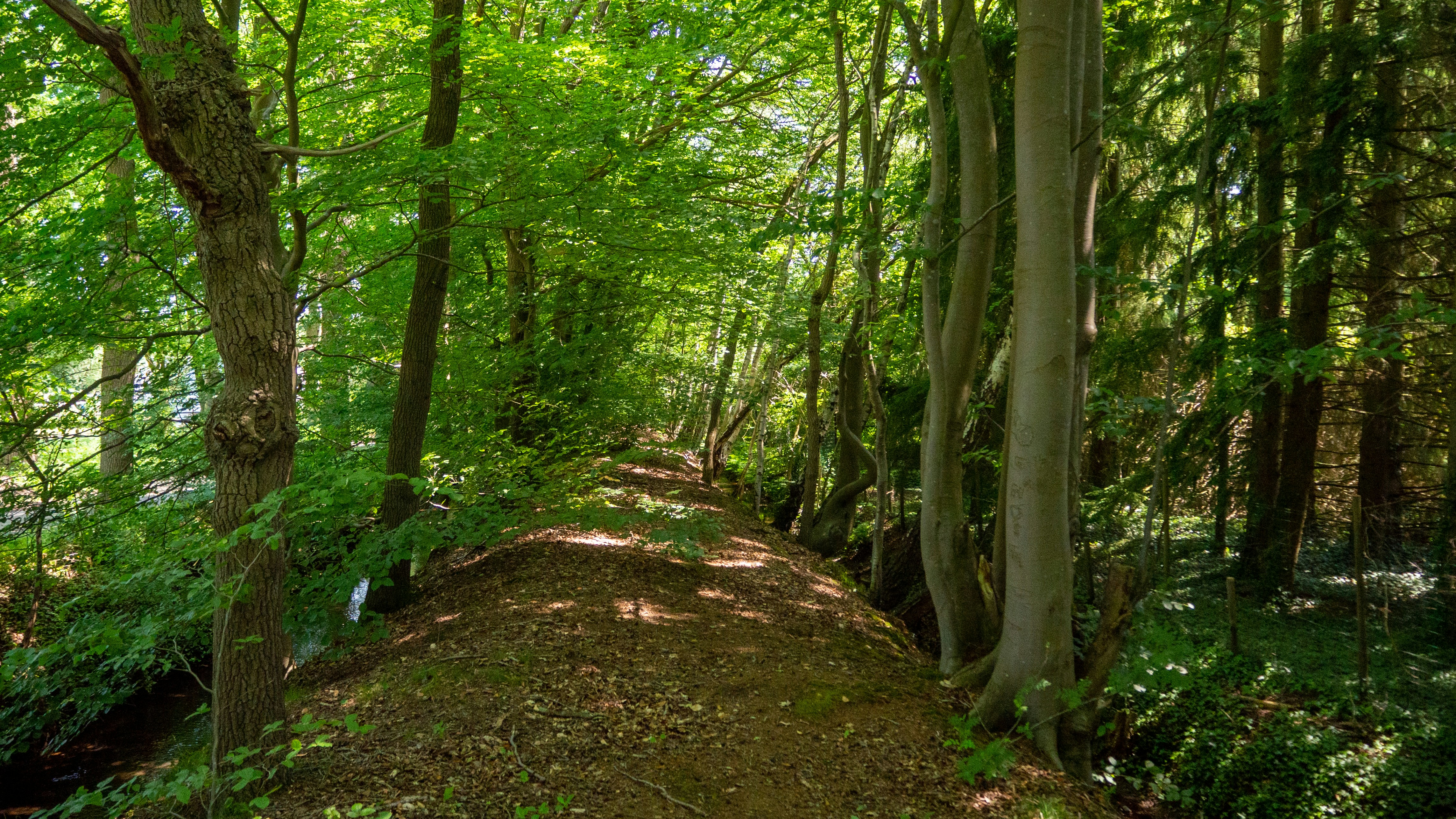 Photo by wimvanteinde