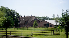 brown and white house on green grass field during daytime